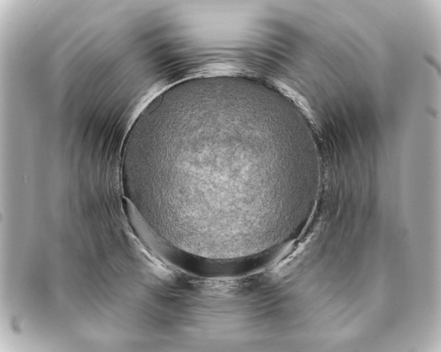 X0000095511473200712281426