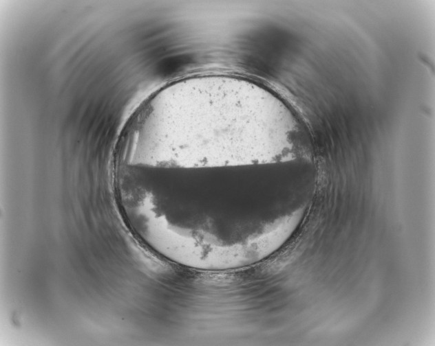 X0000095511474200712281426