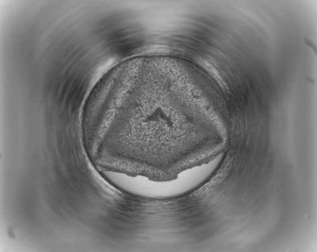 X0000095511475200712281426