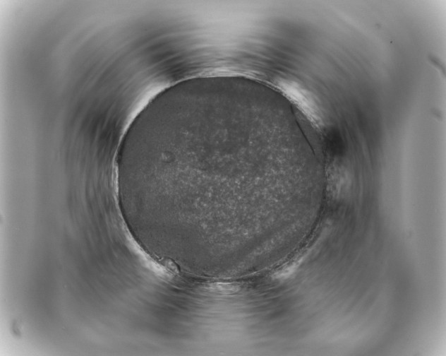 X0000095511476200712281426