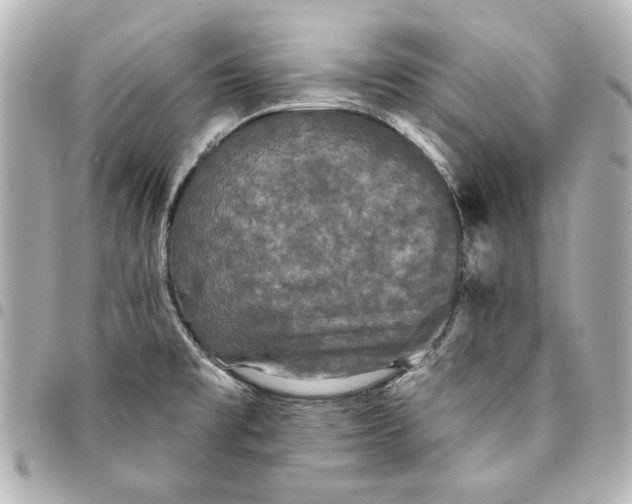 X0000095511477200712281426