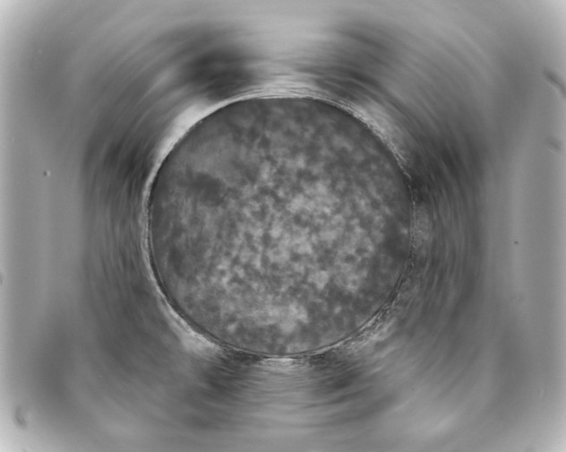 X0000095511478200712281426