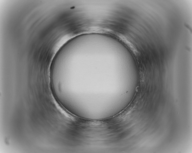 X0000095511479200712281426