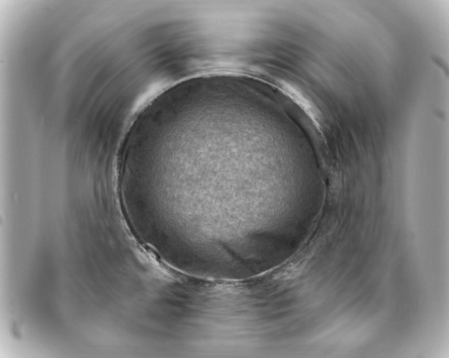 X0000095511480200712281426