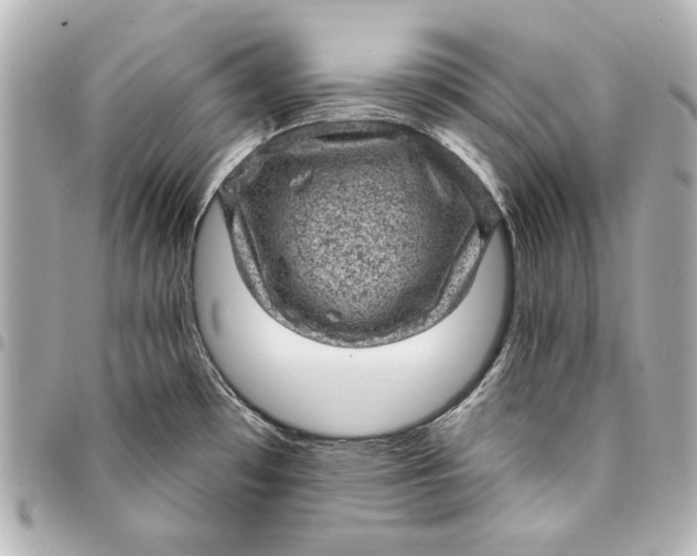 X0000095511481200712281426