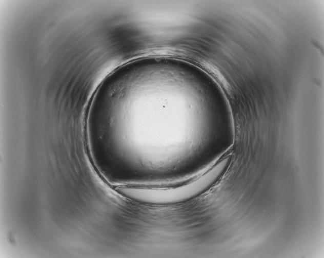X0000095511483200712281426