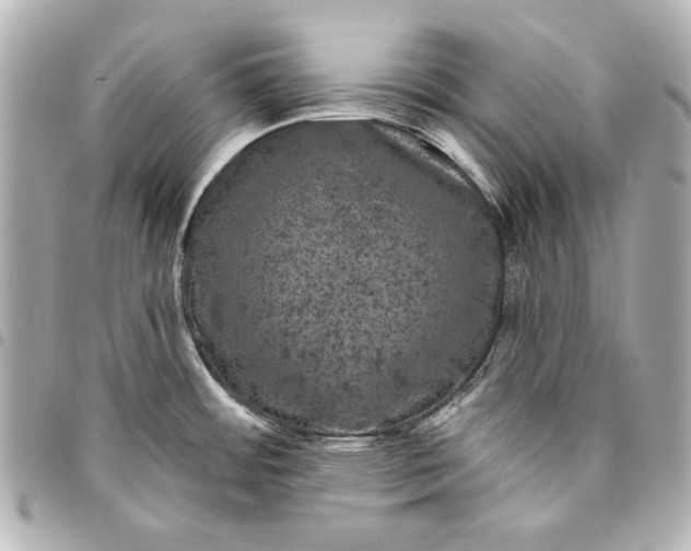 X0000095511484200712281426