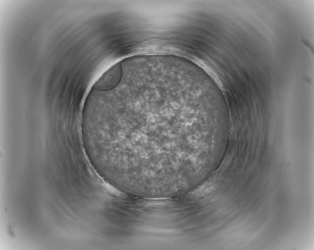 X0000095511486200712281426