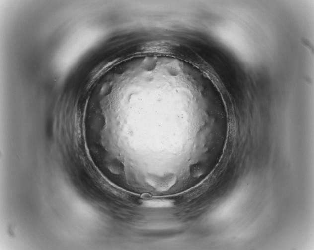 X0000095511487200712281426