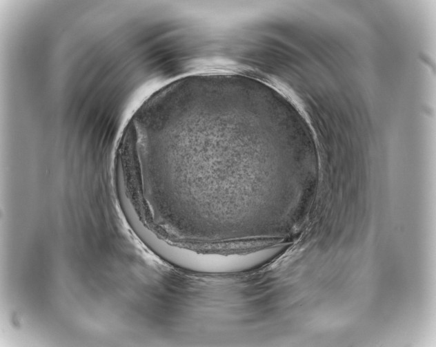 X0000095511488200712281426