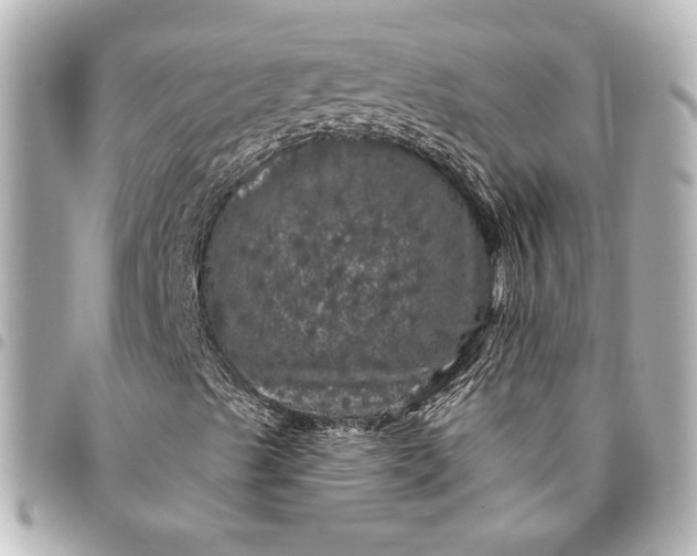 X0000095511489200712281426