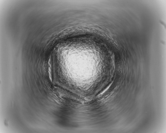 X0000095511490200712281426