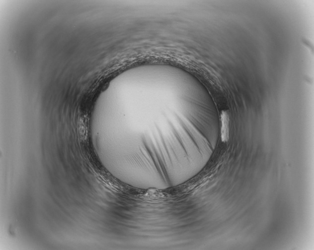 X0000095511491200712281426