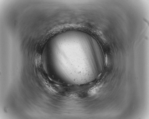 X0000095511492200712281426