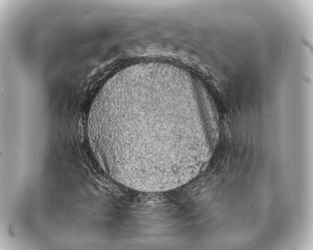 X0000095511493200712281426