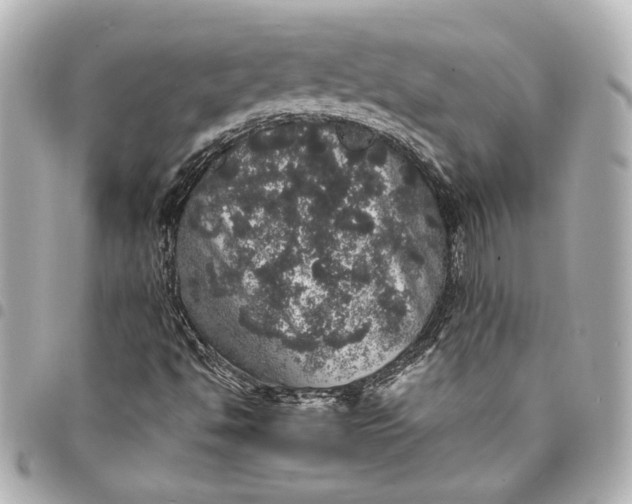 X0000095511494200712281426