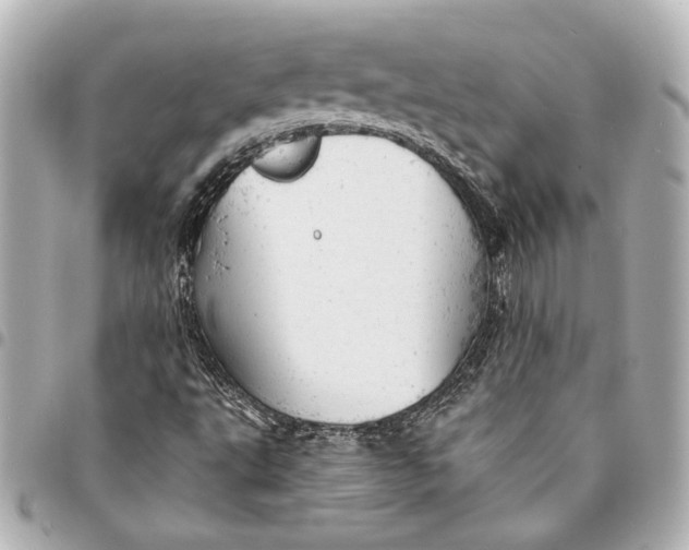 X0000095511495200712281426