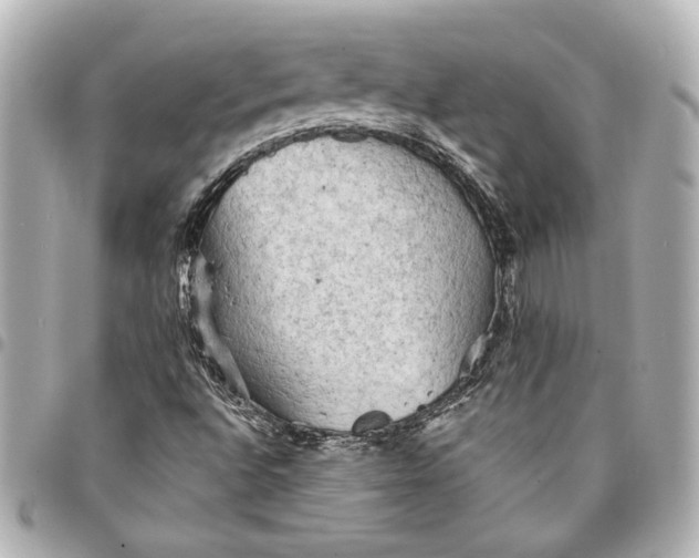 X0000095511496200712281426