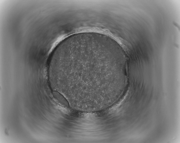X0000095511501200712281426