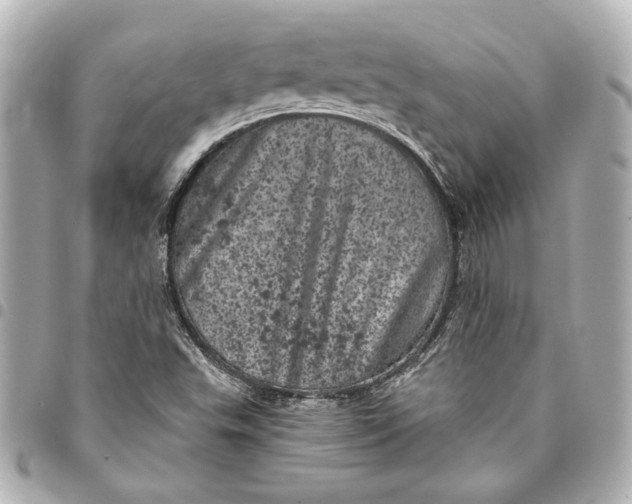 X0000095511503200712281426