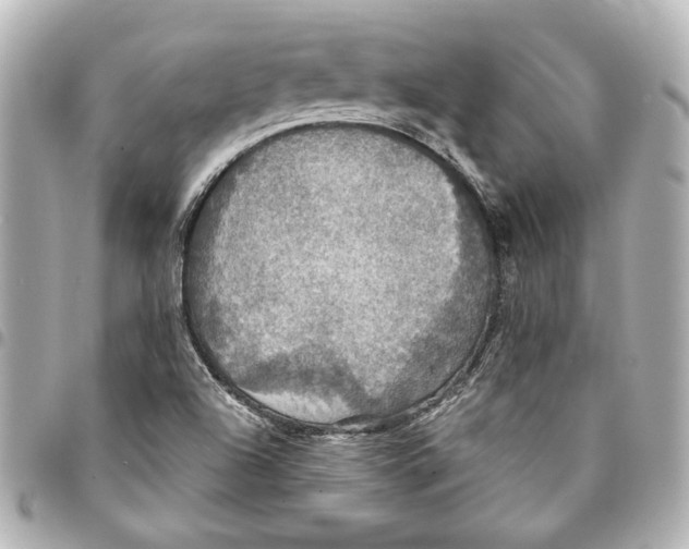 X0000095511504200712281426