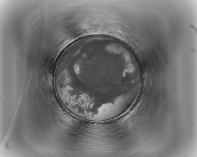 X0000095511505200712281426