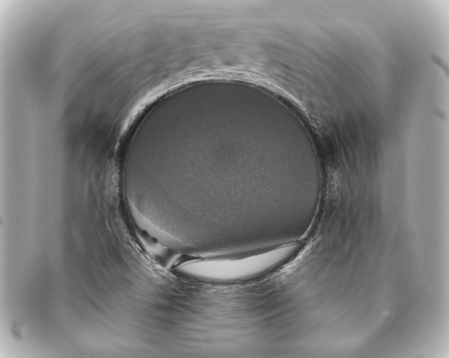 X0000095511506200712281426