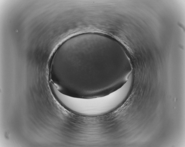 X0000095511508200712281426