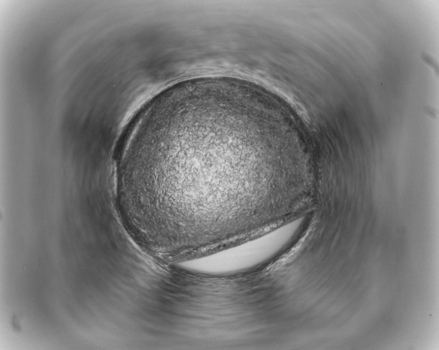 X0000095511509200712281426
