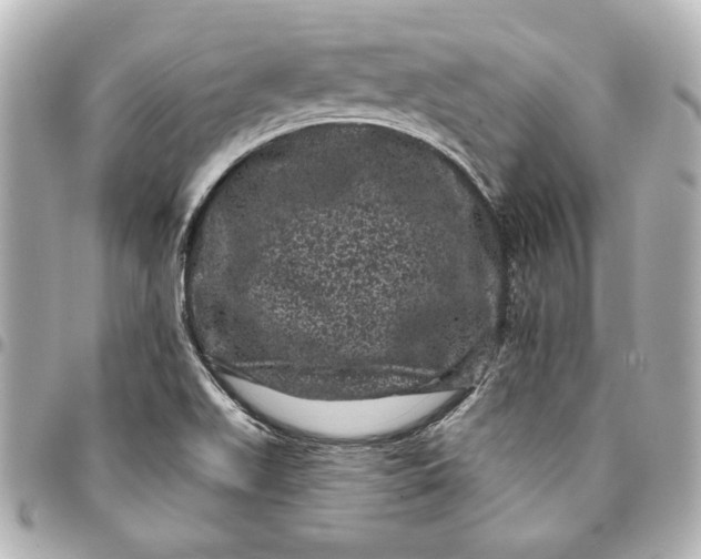X0000095511511200712281426