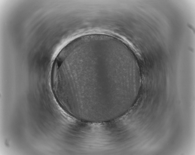 X0000095511512200712281426