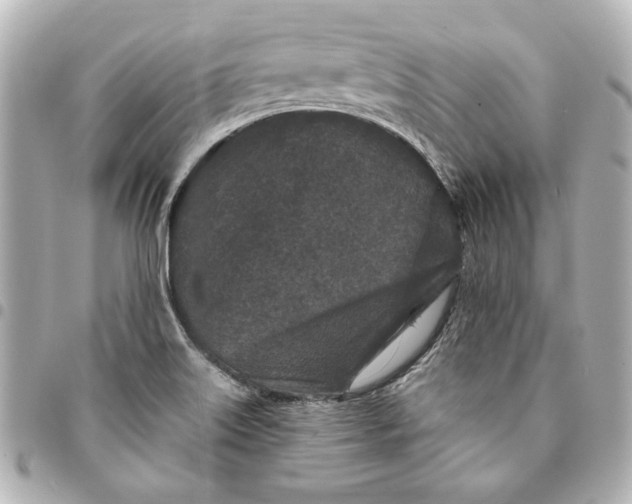 X0000095511515200712281426
