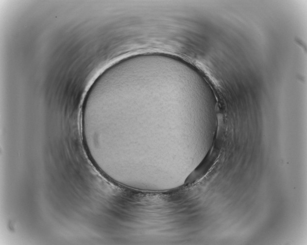 X0000095511516200712281426