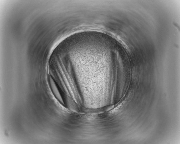 X0000095511520200712281426