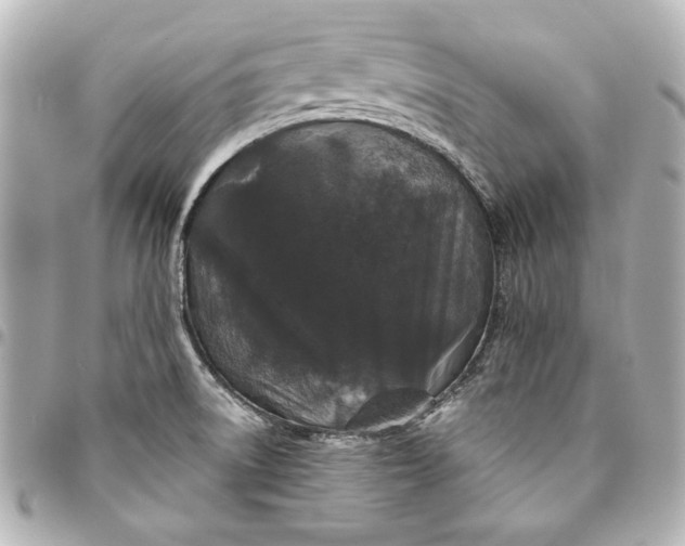 X0000095511522200712281426