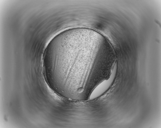 X0000095511524200712281426