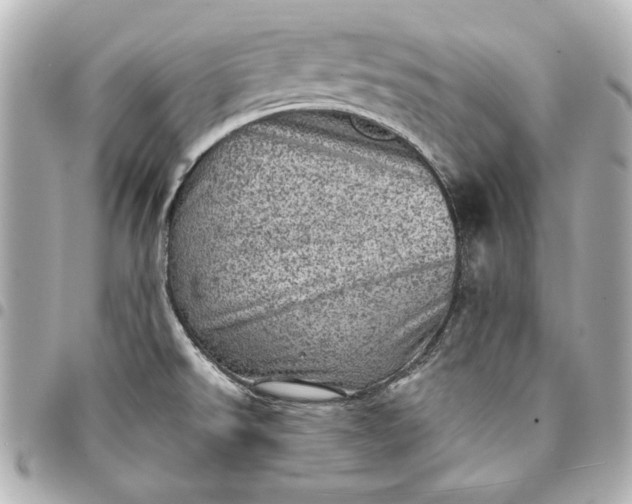 X0000095511526200712281426