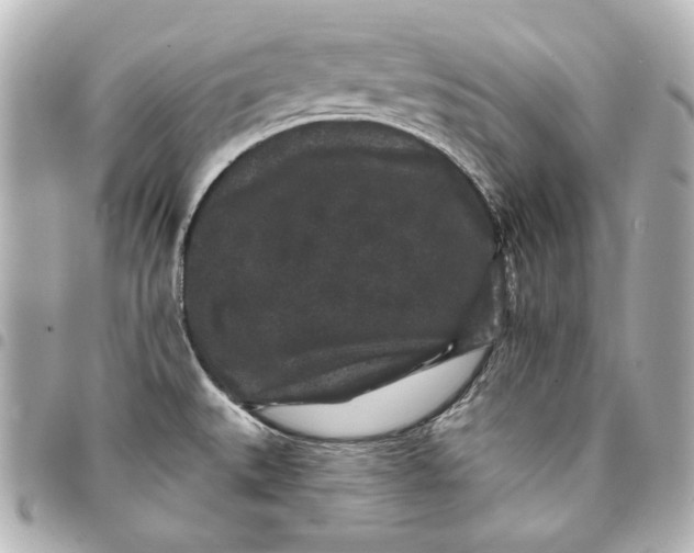 X0000095511527200712281426
