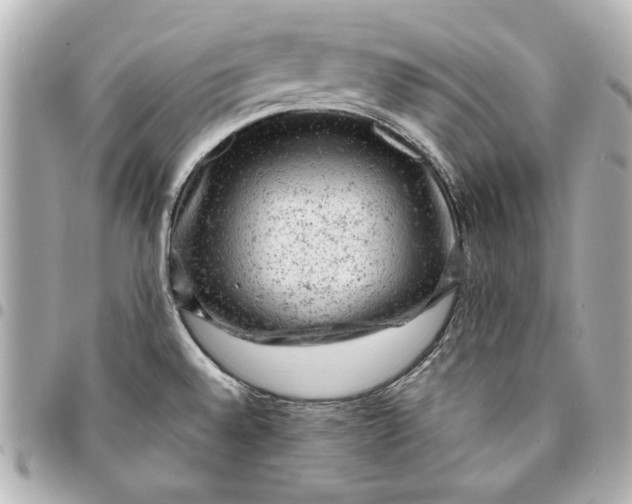 X0000095511528200712281426