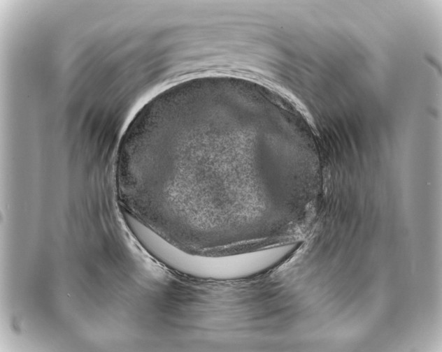 X0000095511530200712281426