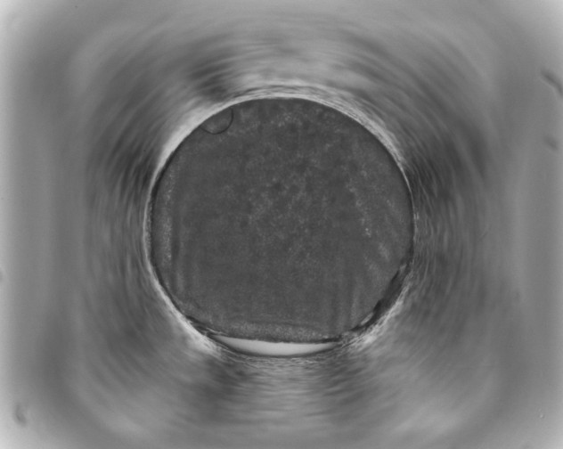X0000095511533200712281426