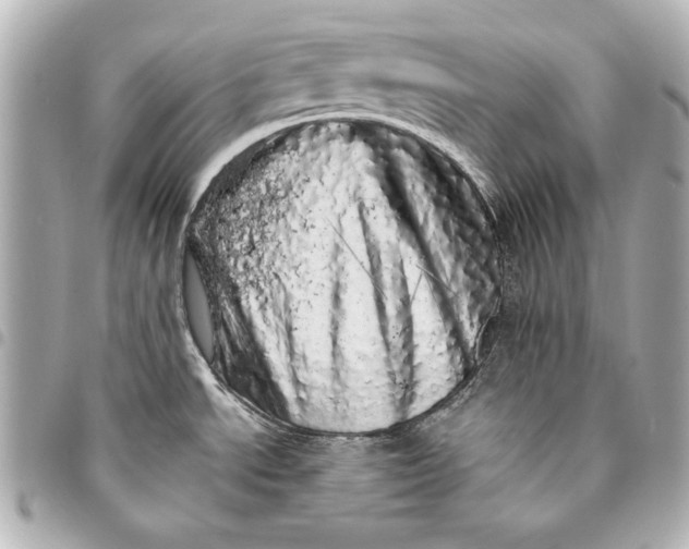 X0000095511534200712281426