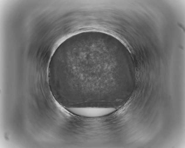 X0000095511535200712281426