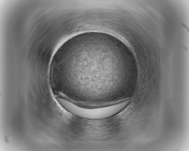 X0000095511536200712281426
