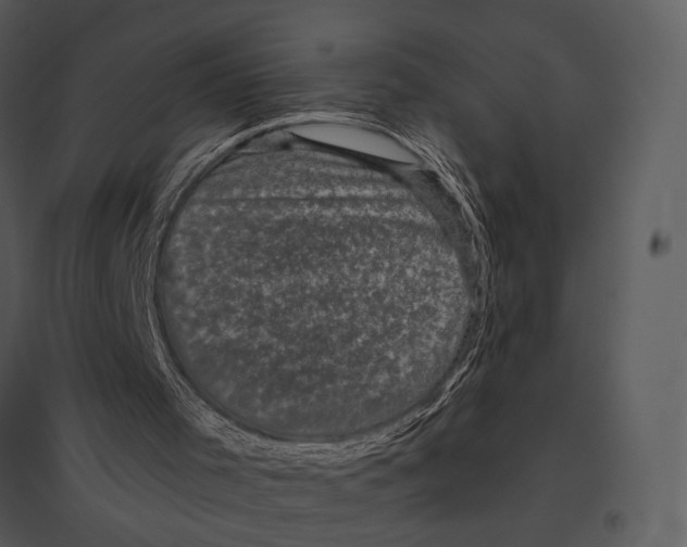 X0000095510001200801041211