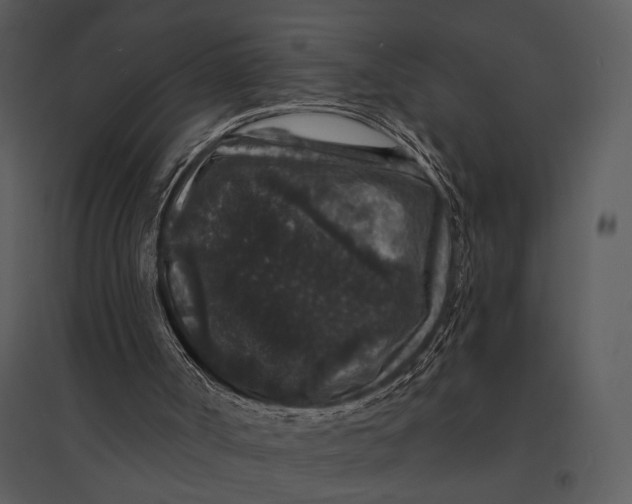 X0000095510002200801041211