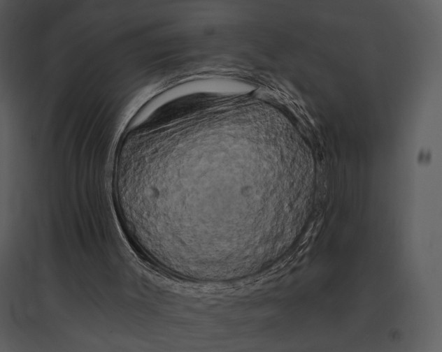 X0000095510003200801041211