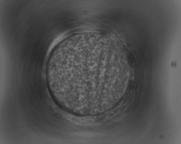 X0000095510004200801041211