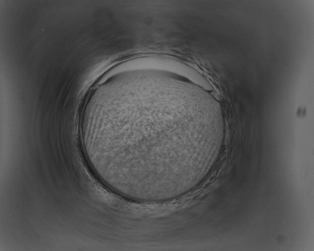 X0000095510005200801041211