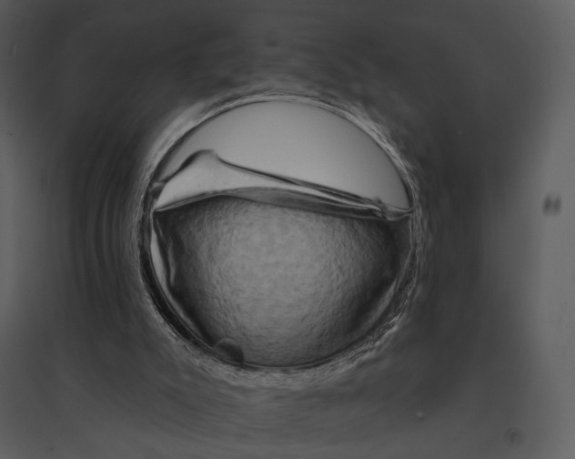 X0000095510007200801041211